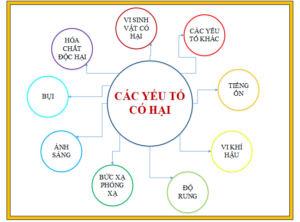Các chỉ tiêu trong báo cáo quan trắc môi trường lao động